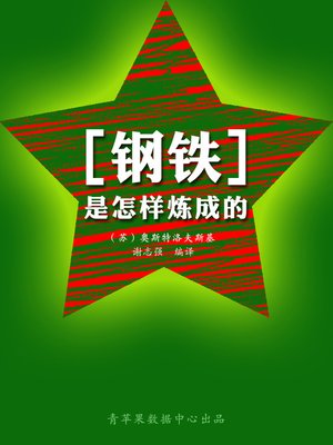 钢铁是怎样炼成的 - ebook